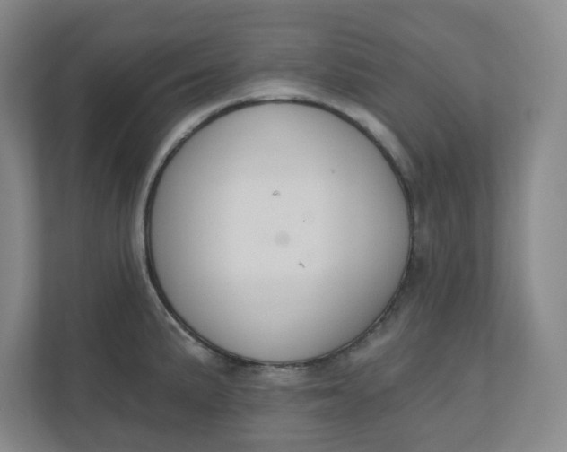 X0000110761191200906291022