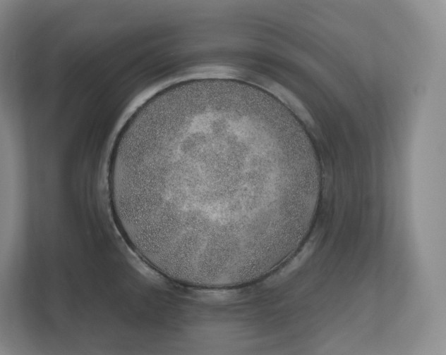 X0000110761192200906291022