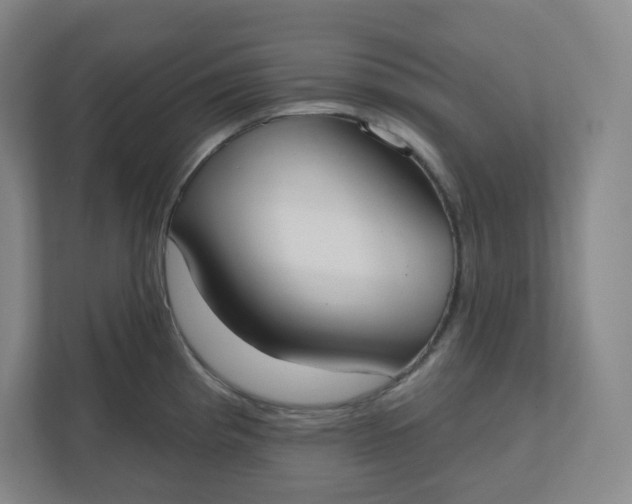 X0000110761193200906291022