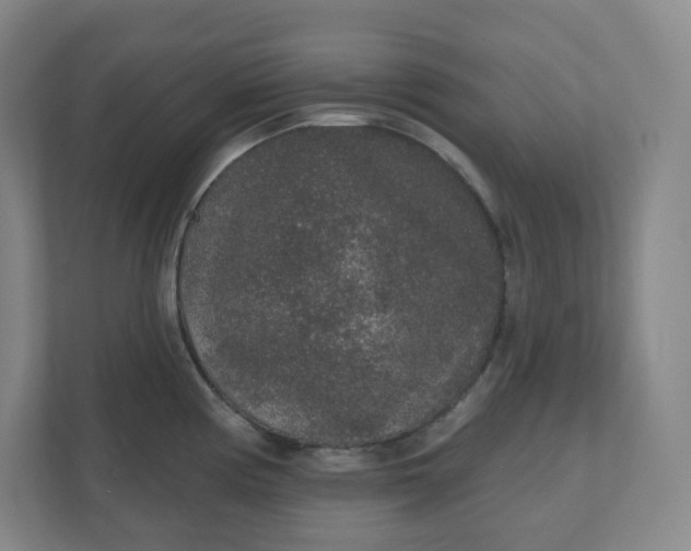 X0000110761194200906291022