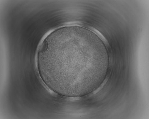 X0000110761196200906291022