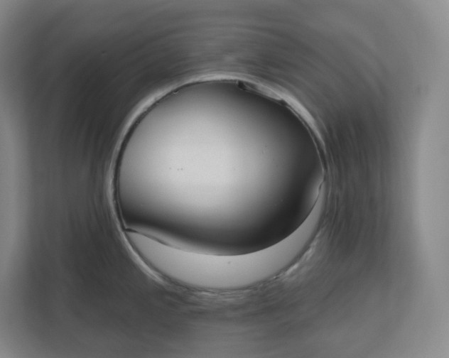 X0000110761197200906291022