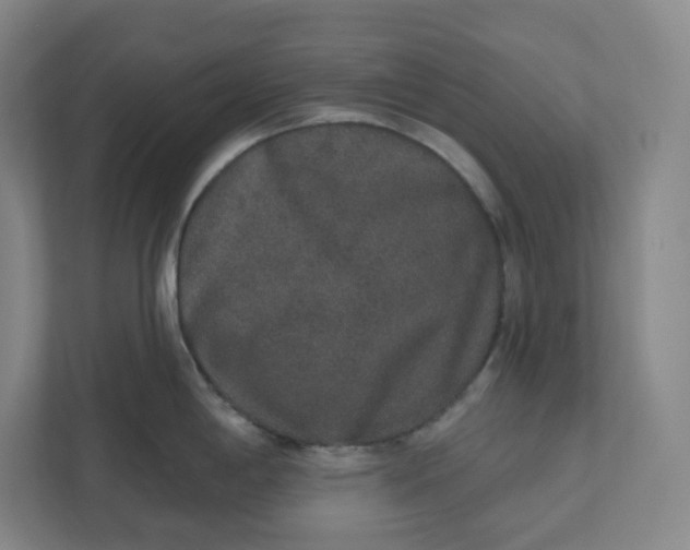 X0000110761198200906291022