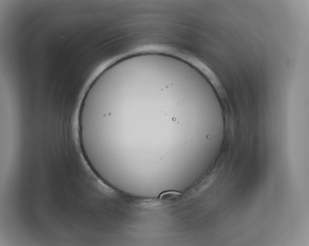 X0000110761199200906291022