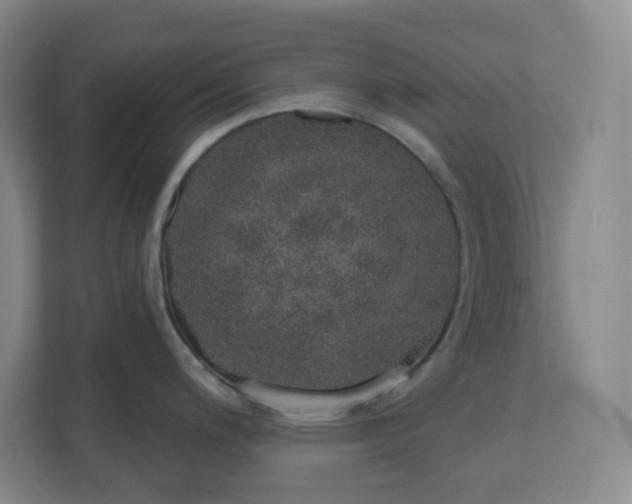 X0000110761200200906291022
