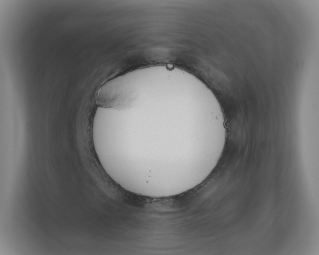 X0000110761201200906291021