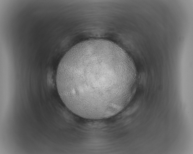 X0000110761202200906291021