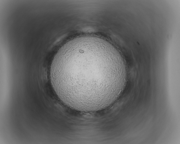 X0000110761205200906291021