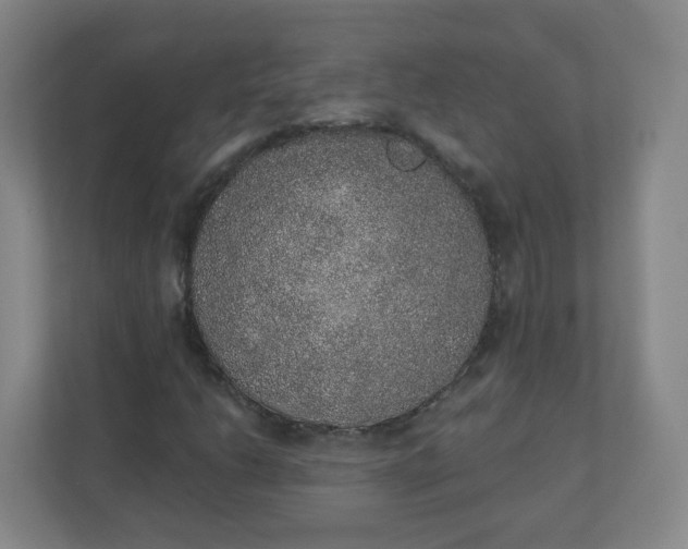 X0000110761206200906291021