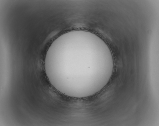 X0000110761207200906291021