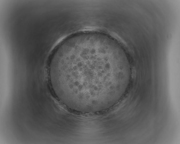 X0000110761208200906291021