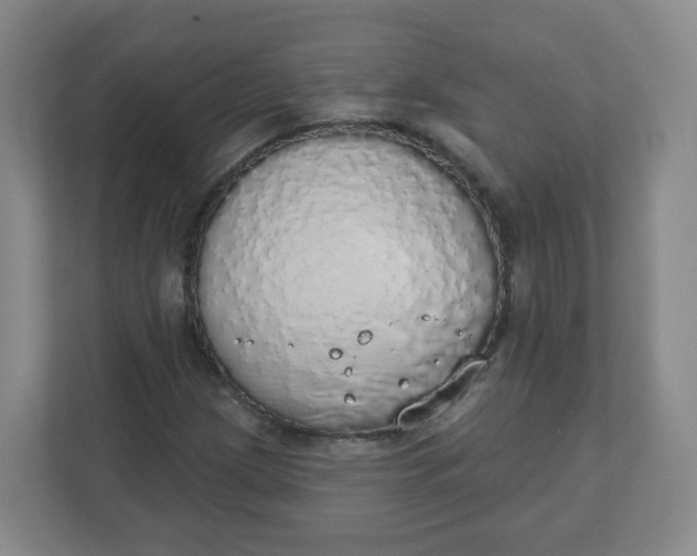 X0000110761209200906291021