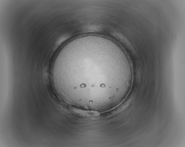 X0000110761210200906291021
