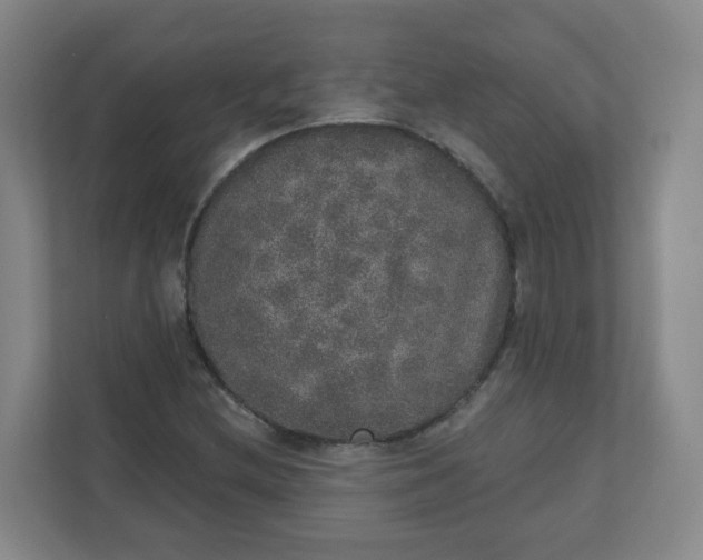 X0000110761212200906291021