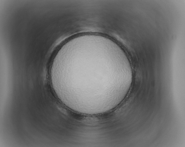 X0000110761215200906291021
