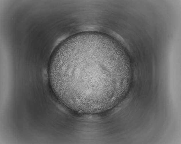 X0000110761218200906291021