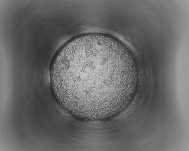 X0000110761221200906291021