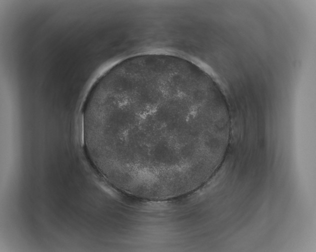 X0000110761223200906291021