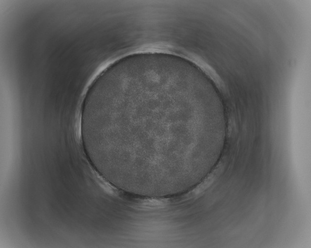 X0000110761224200906291021
