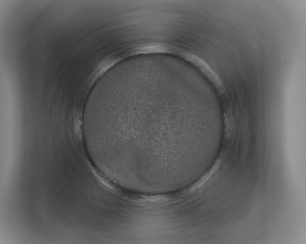 X0000110761225200906291021