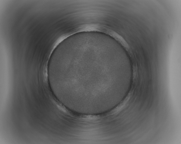 X0000110761226200906291021