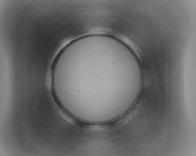 X0000110761227200906291021