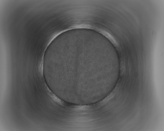 X0000110761228200906291021