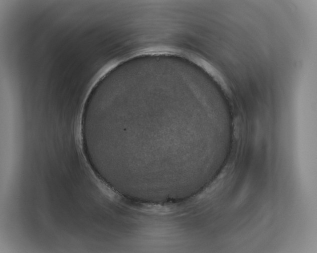 X0000110761229200906291021