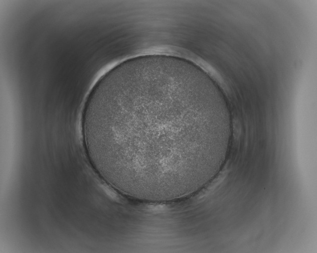 X0000110761230200906291021