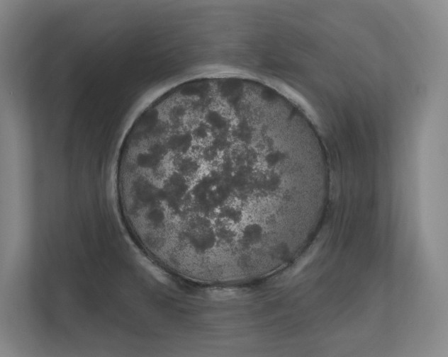 X0000110761231200906291021