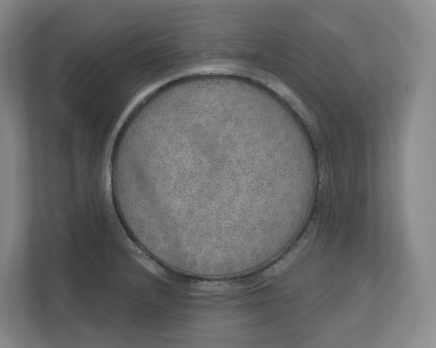 X0000110761232200906291021