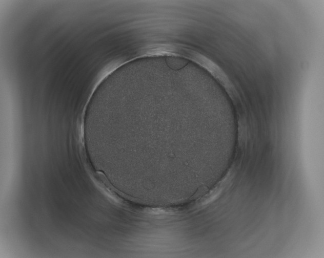 X0000110761234200906291021