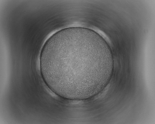 X0000110761238200906291022