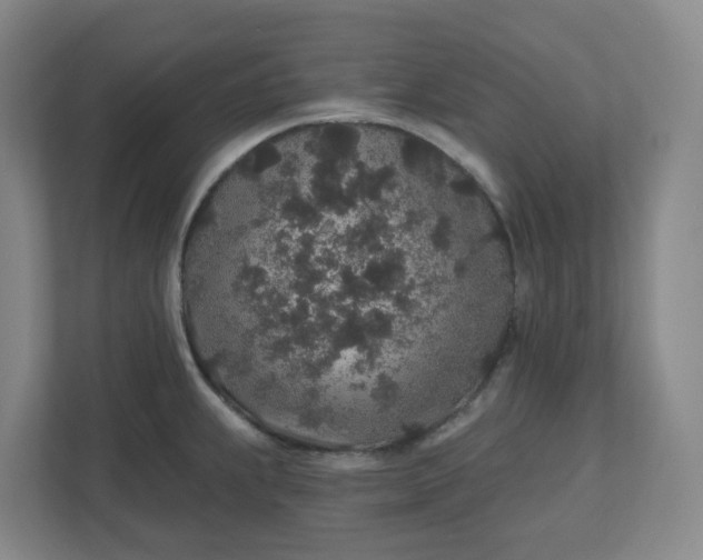 X0000110761239200906291022