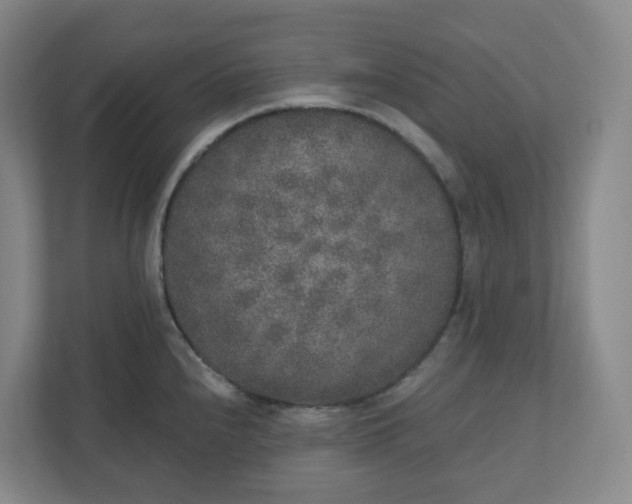 X0000110761240200906291022