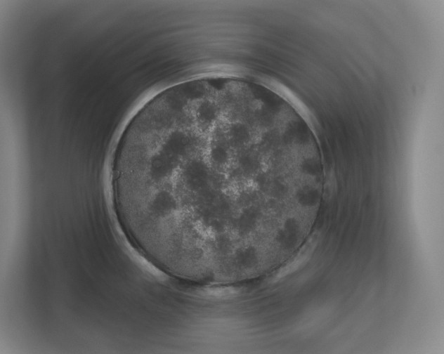X0000110761243200906291022