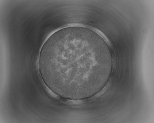 X0000110761244200906291022