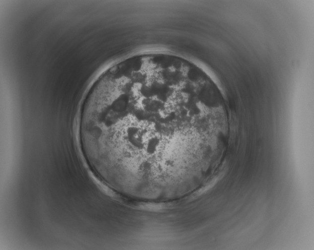 X0000110761245200906291022