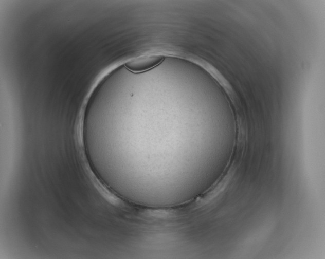 X0000110761246200906291022