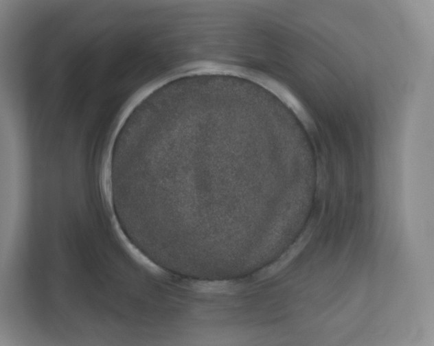 X0000110761247200906291022