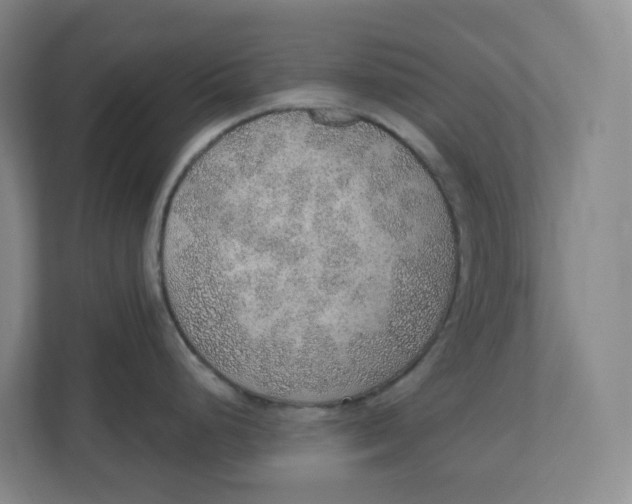 X0000110761248200906291022