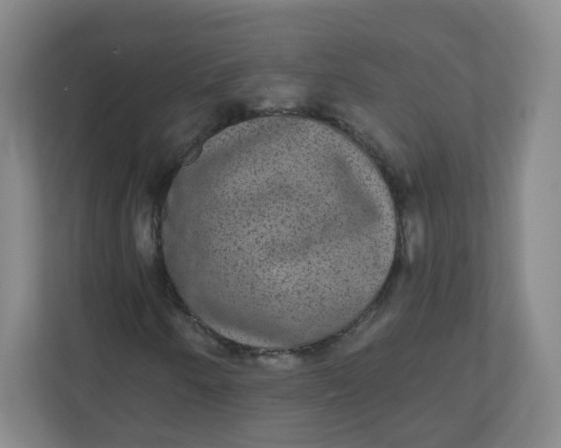 X0000110761250200906291021