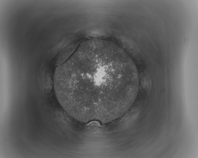 X0000110761253200906291021
