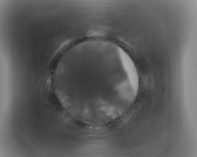 X0000110761254200906291021