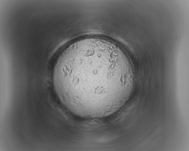 X0000110761255200906291021