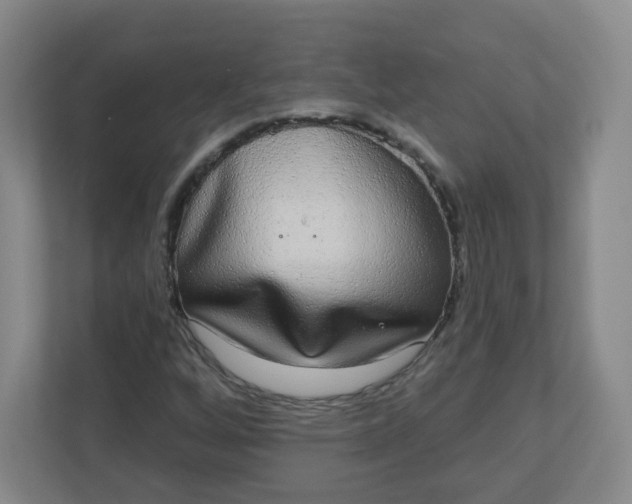 X0000110761256200906291021