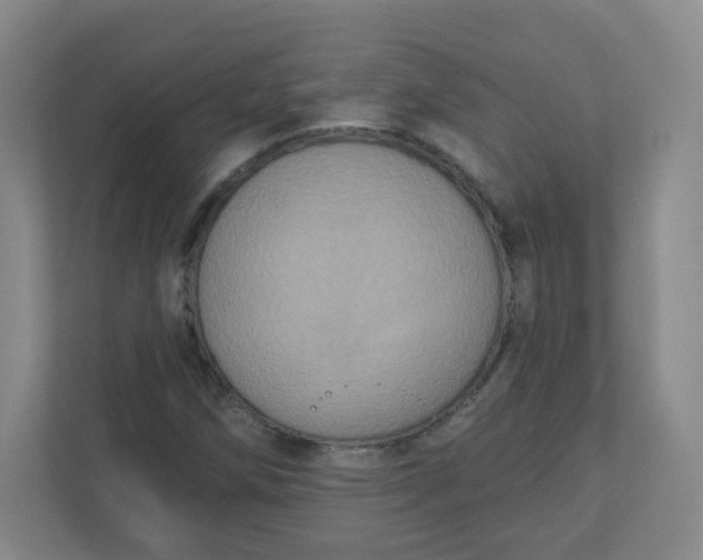X0000110761258200906291021