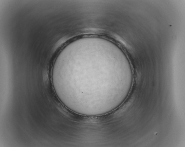 X0000110761259200906291021