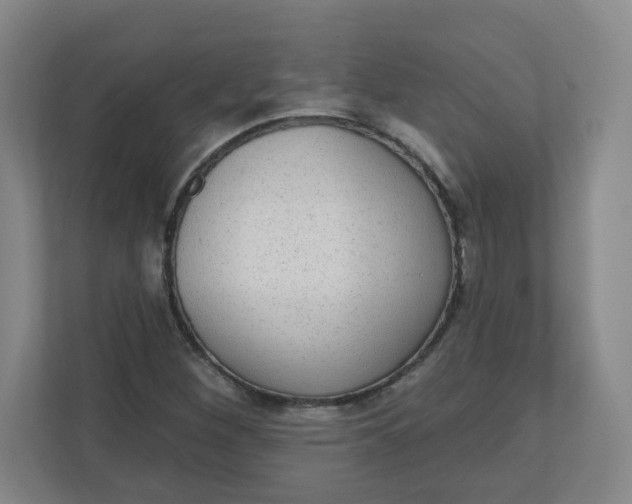 X0000110761260200906291021