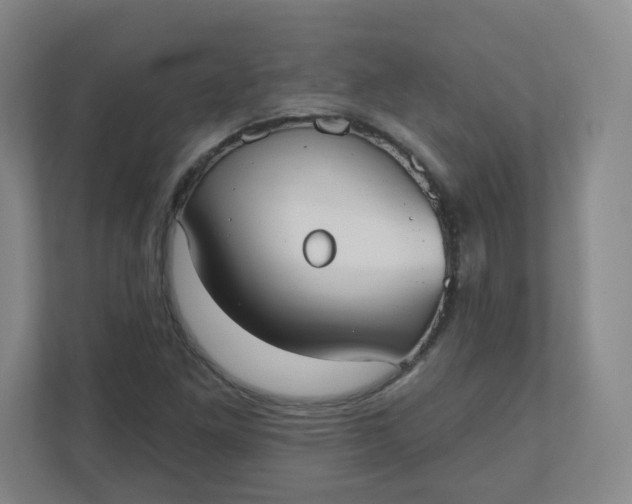 X0000110761261200906291021